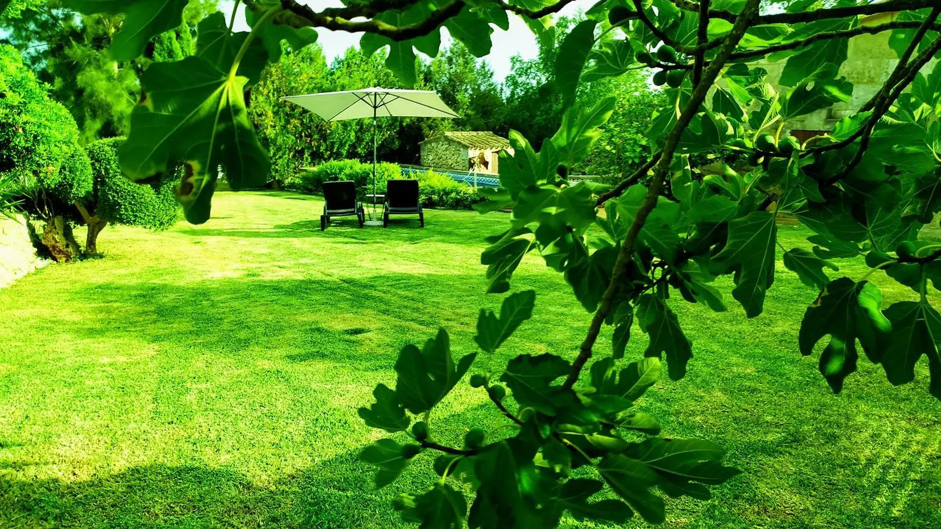 Villa Ca Na Maria Manacor